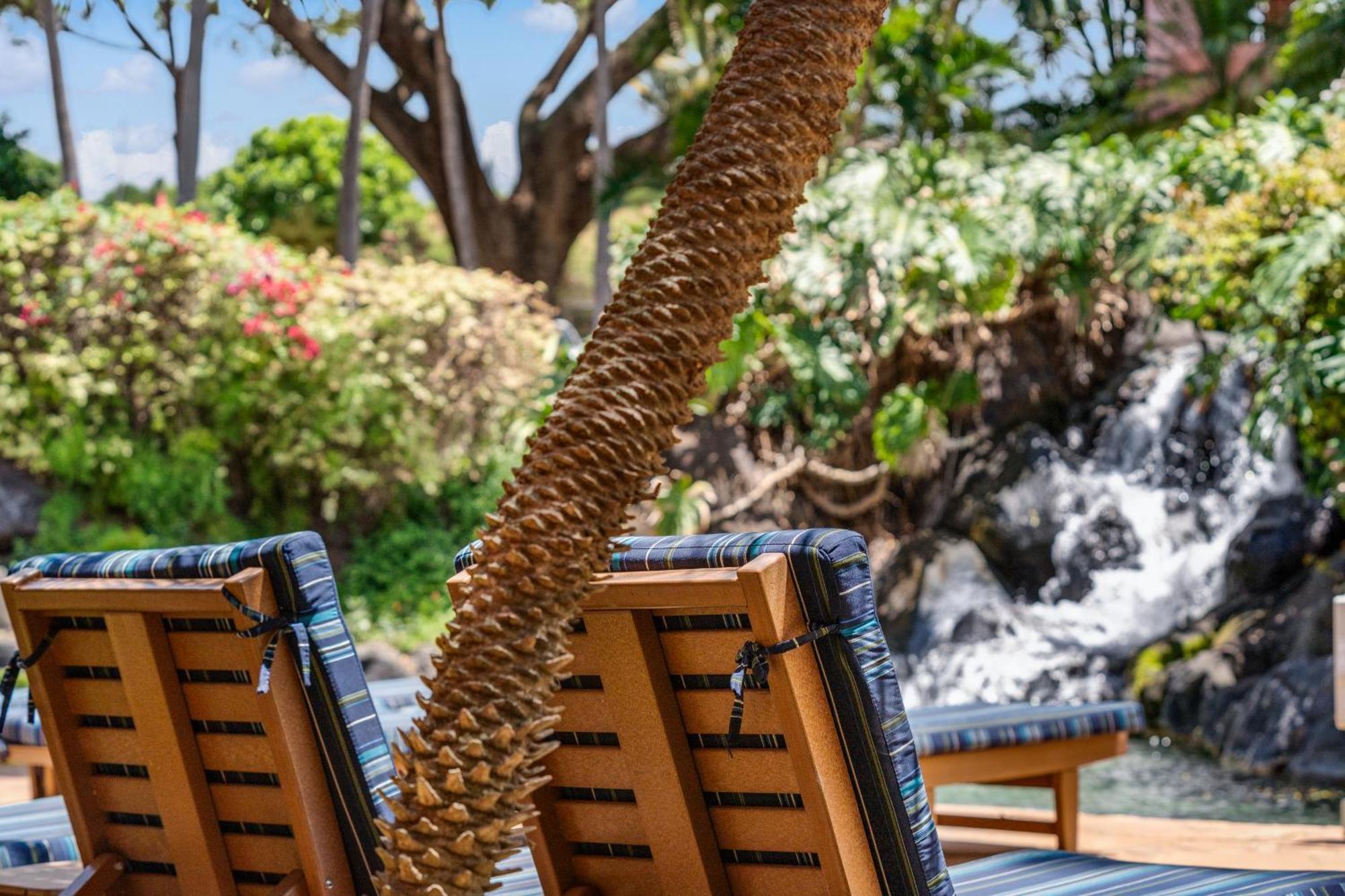 คาฮานา ฟอลล์ รีสอร์ต Hotel Napili-Honokowai ภายนอก รูปภาพ